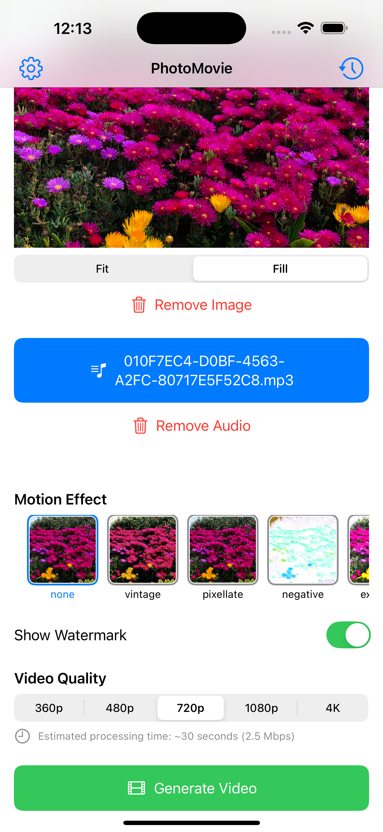 PhotoMovie effects selection screen
